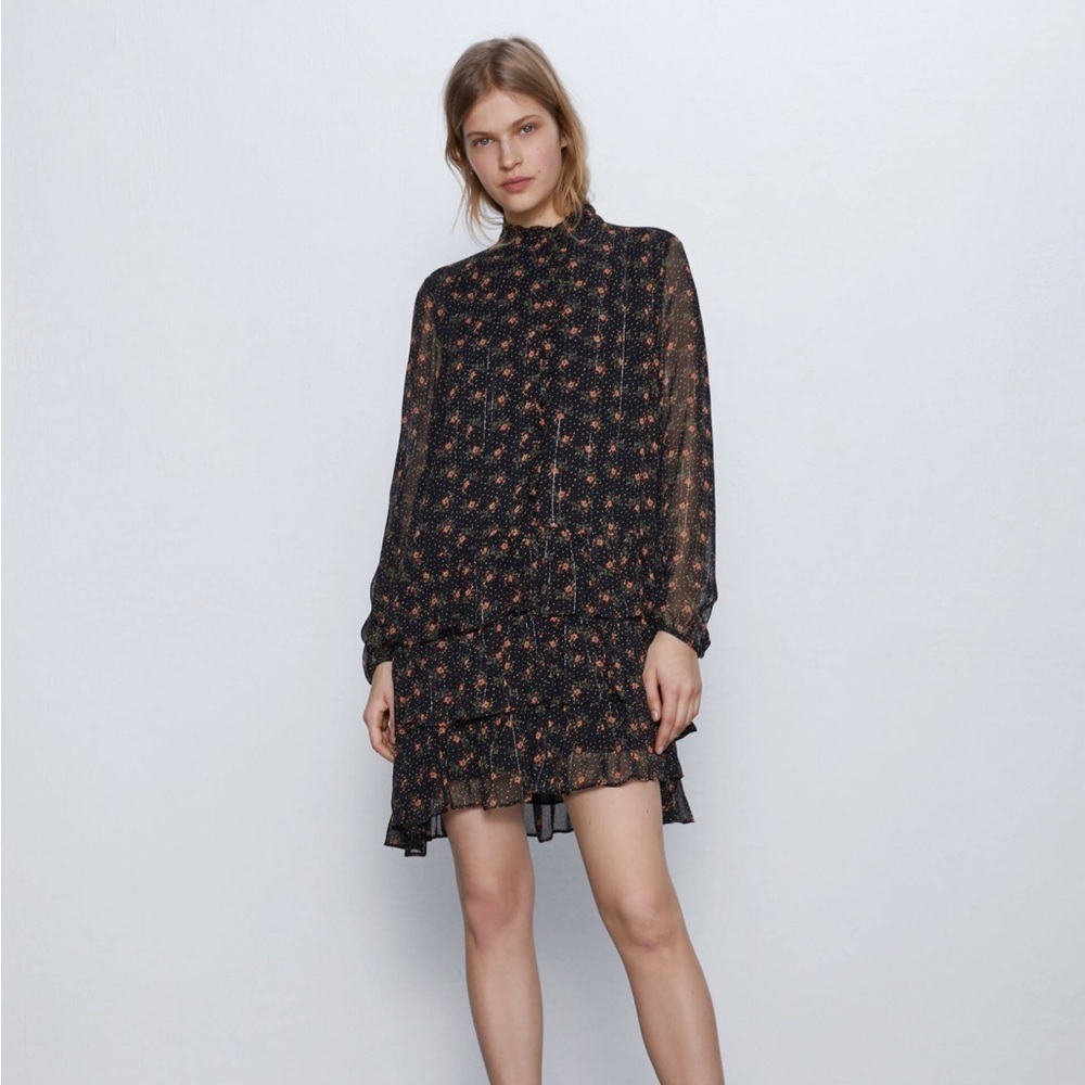 Zara Floral Chiffon Ruffle Dress